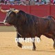 Bullfight tickets Don Benito - Feria Taurina de Septiembre