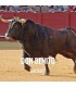 Bullfight tickets Don Benito - Feria Taurina de Septiembre