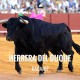 Bullfight ticket Herrera del Duque – Bullfighting Festival 