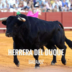 Entradas Toros Herrera del Duque - Festival Taurino