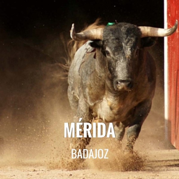 Bullfight tickets Mérida – Feria de Septiembre