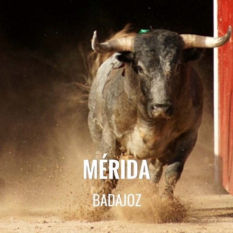 Entradas Toros Mérida - Feria de Septiembre