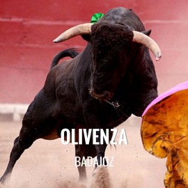 Bullfight tickets Olivenza – Bullfighting Fair March