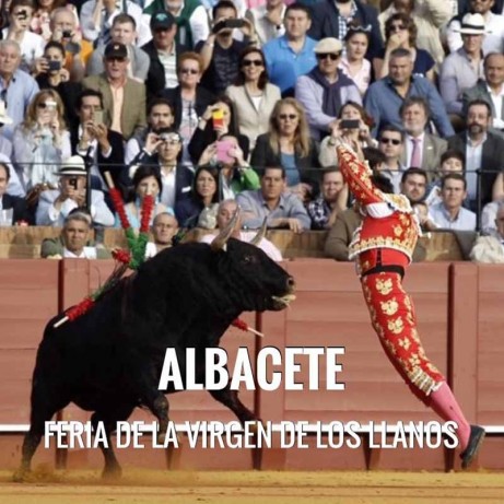 Entradas Toros Albacete - Feria Virgen de los Llanos 