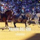 Bullfight tickets Palma Del Rio - Bullfighting Fair