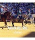 Entradas toros Palma Del Rio - Festival Taurino