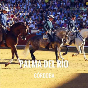 Bullfight tickets Palma Del Rio -  Bullfighting Fair