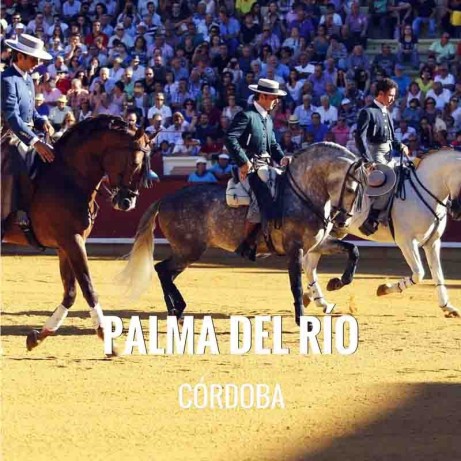 Entradas toros Palma Del Rio - Festival Taurino