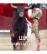 Entradas Toros León - Feria de San Juan y San Pedro