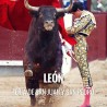 Bullfight Tickets León - Festivities San Juan and San Pedro