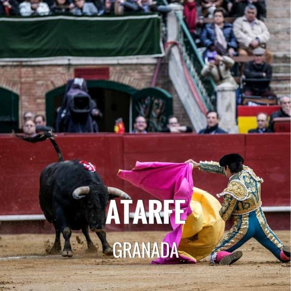 Entradas Toros Atarfe - Feria de Santa Ana