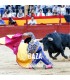 Bullfighting Fair Baza - Feria Virgen de la piedad 