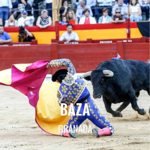 Entradas Toros Baza - Feria Virgen de la piedad 