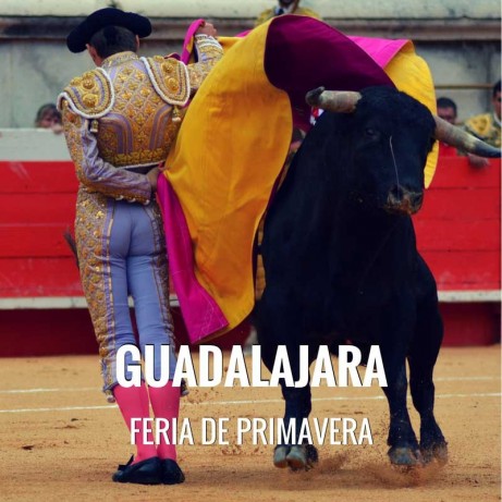 Entradas Toros Guadalajara - Feria de Primavera