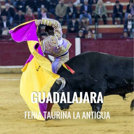 Entradas Toros Guadalajara - Feria de la Antigua