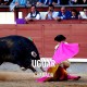 Bullfight Tickets Ugijar - Bullfighting Fair
