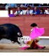 Bullfight Tickets Ugijar - Bullfighting Fair