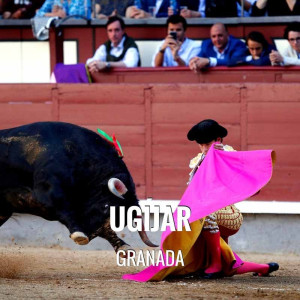 Entradas Toros Ugijar - Feria Taurina