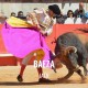 Bullfight tickets Baeza - Virgen del Alcazar Festivity