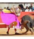 Bullfight tickets Baeza - Virgen del Alcazar Festivity