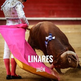 Bullfight tickets Linares – San Agustín Festivities