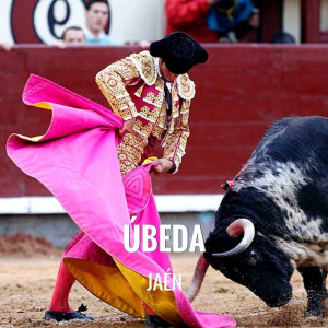 Entradas Toros Úbeda - Feria de San Miguel