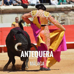 Entradas Toros Antequera - Real Feria de Agosto 