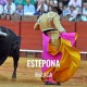 Bullfight tickets Estepona - Bullfighting festivities