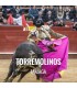 Bullfight tickets Torremolinos – Fiestas y Feria de San Miguel 