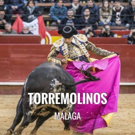 Bullfight tickets Torremolinos – Fiestas y Feria de San Miguel 