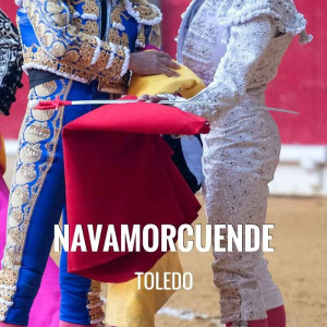 Entradas Toros Navamorcuende - Festejo Taurino