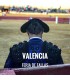 Bullfight ticket Valencia – Les Falles