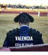 Entradas  Toros Valencia - Les Fallas 