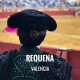 Bullfight tickets Requena - Bullfighting festivities