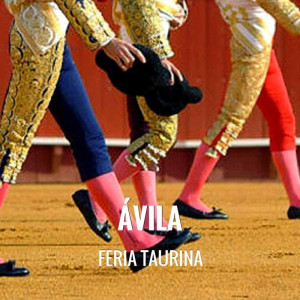 Entradas Toros  Avila