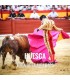 Entradas Toros Huesca - Feria Taurina de la Albahaca 