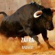 Bullfight ticket Zafra – Feria de San Miguel 