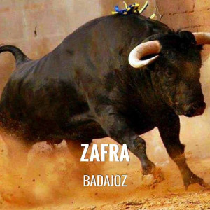 Bullfight ticket Zafra –  Feria de San Miguel 