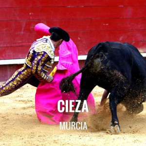 Entradas Toros Cieza - Feria de San Bartolome 