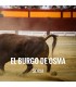 Entradas Toros El Burgo de Osma - Feria y Fiestas de La Virgen del Espino y San Roque