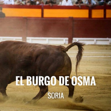 Bullfight tickets El Burgo de Osma - Feria y Fiestas de La Virgen del Espino y San Roque