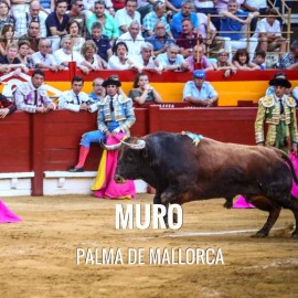 Bullfight tickets Muro - Bullfighting Celebration