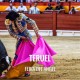 Bullfight Tickets Teruel - Ángel Fair