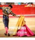 Bullfight Tickets   Pontevedra -  Feria de La Peregrina