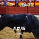 Bullfight tickets Alcañiz - Virgen de los pueblos y Santo Ángel Custodio