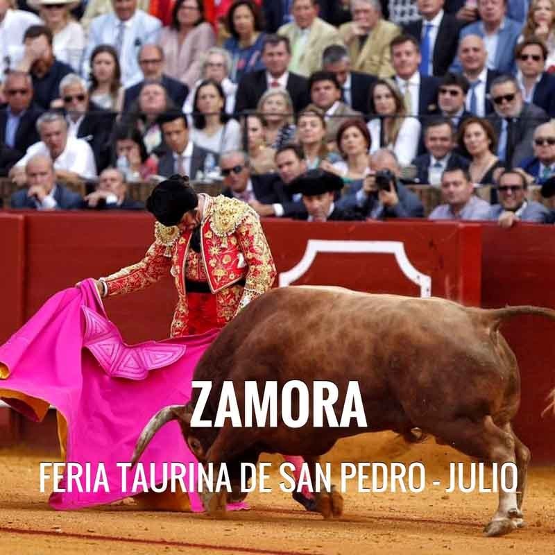 Bullfight ticket Zamora San Pedro festivities 2024