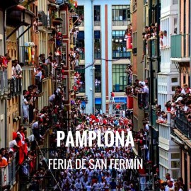 Entradas Toros Pamplona - Feria de San Fermín 