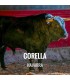 Entradas Toros Corella -  Feria y Fiestas de la Virgen de las Mercedes y San Miguel