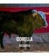 Entradas Toros Corella - Feria y Fiestas de la Virgen de las Mercedes y San Miguel