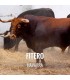 Entradas Toros Fitero- Feria Taurina de San Raimundo Abad